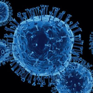 Coronavirus UPDATE